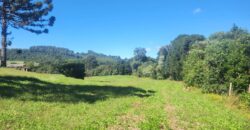 SÍTIO C/ 5ha EM VARGEÃO-SC