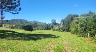 SÍTIO C/ 5ha EM VARGEÃO-SC