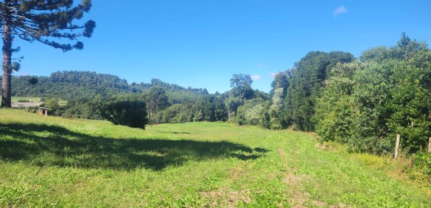 SÍTIO C/ 5ha EM VARGEÃO-SC
