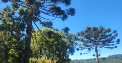 SÍTIO C/ 5ha EM VARGEÃO-SC