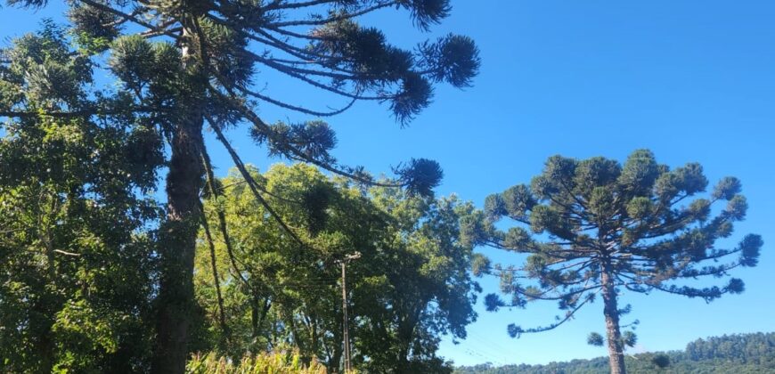 SÍTIO C/ 5ha EM VARGEÃO-SC
