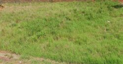 EXCELENTE TERRENO NO WALVILLE III COM 450,00m²
